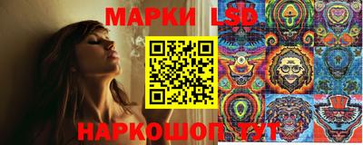 СК Будённовск
