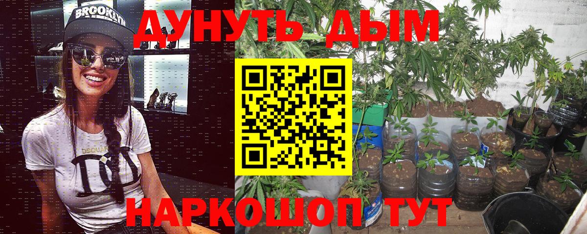 Бошки марихуана Ganja Курчалой